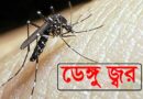 ২৪ ঘণ্টায় ডেঙ্গুতে আরও দুইজনের মৃত্যু, হাসপাতালে ভর্তি ৯৫৫