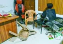 দেশজুড়ে কিশোর গ্যাং উত্তাপ