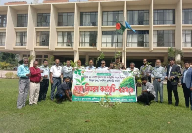 যশোর সেনানিবাসে ১১ হাজার তুলার চারা বিতরণ করবে তুলা উন্নয়ন বোর্ড