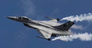 আফগানিস্তানে পাকিস্তানের বিমান হামলা, নিহত ২২