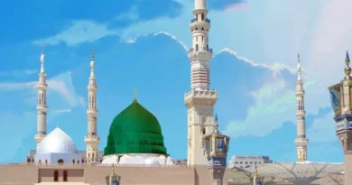 নবীওয়ালা কাজ দাওয়াতে তাবলিগ