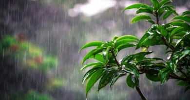 সারা দেশে ভারি বর্ষণের আভাস