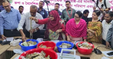 পাগলা মসজিদে ৬ বছর ধরে জমা পড়া স্বর্ণ-রুপার ওজন মাপছে প্রশাসন