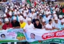 চুয়াডাঙ্গায় বর্ণাঢ্য আয়োজনে যুবদলের ৪৮তম প্রতিষ্ঠাবার্ষিকী পালিত