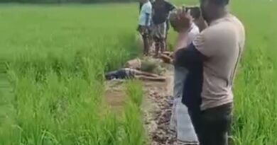 নোয়াখালীতে ইঁদুর মারার বৈদ্যুতিক ফাঁদে প্রাণ গেল কৃষকের