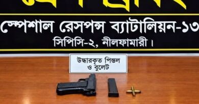 দিনাজপুরে পরিত্যক্ত অবস্থায় ম্যাগাজিনসহ বিদেশি পিস্তল ও গুলি জব্দ