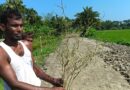 সুবর্ণচরে আদালতের নিষেধাজ্ঞা অমান্য করে পুরো সবজি বাগান ধুলিস্যাৎ